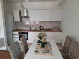 New modern 1 bedroom apartment with free parking