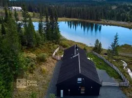 Unique cabin with fantastic lake view, sauna, ski & EV outlet