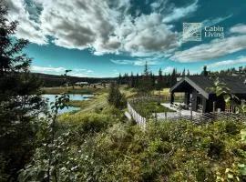 Unique cabin with fantastic lake view, sauna, ski & EV outlet