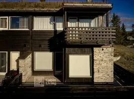 Ski in out, Wifi, large terrace & bbq - Hafjell Gaiastova