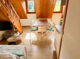 Appartement Chalet à 1400m - Station du Mourtis