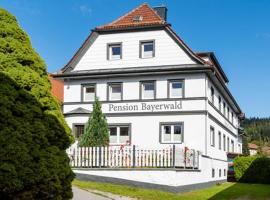 Pension Bayerwald mit Ferienwohnung، فندق في بودنمايس