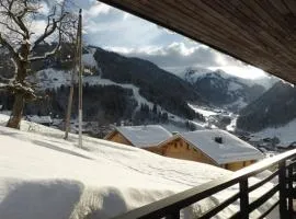Chalet pour 6-8 pers. avec cheminée, plein sud et garage à 5 min du centre - FR-1-342-234