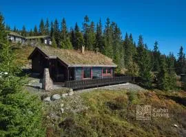 Large cabin at Sjusjøen with sauna, fireplace, view and cross-country skiing