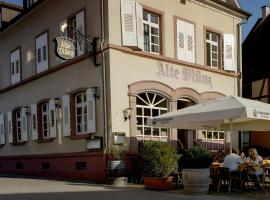 Ferienwohnung Alte Münz, cheap hotel in Müllheim