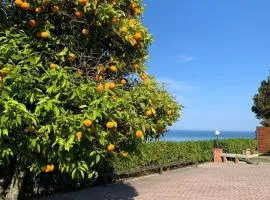 Vigna Sul Mare