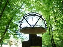 Ô Pays Des Bois - Hébergements insolites en pleine nature