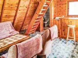 Beautiful Home In Kartuzy With Kitchen