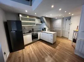 NIMES Superbe appartement duplex climatisée