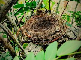 The Nest Tiny Home Mt Irvine, tiny house in Mount Irvine