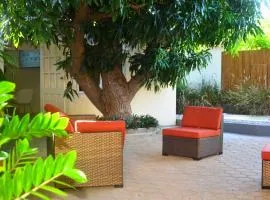 Homey Vacation and Carrental
