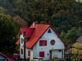 Casa Flavius, Ferienunterkunft in Văliug