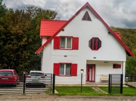 Casa Flavius, hotel em Valiug
