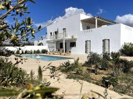 White Pearl Villa Naxos with Private Swimming Pool, villa em Naxos Chora