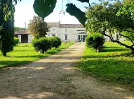 La Revêtizon