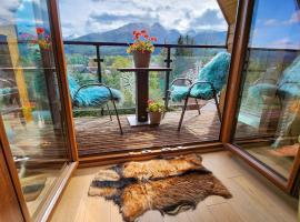 Polana Szymoszkowa Ski Resort - Chamerion Apartments