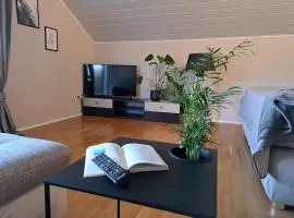Ferienwohnung 29