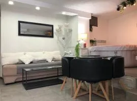 Hot Jacuzzi & Ice Bath Apartment