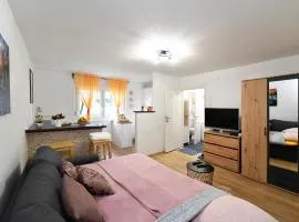 Studio Apartment Aneta