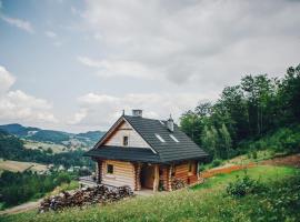 Felusiowa Chata, chalet de montaña en Laskowa