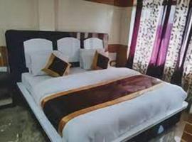 Hotel Diamond, Meerut, hotel in Meerut