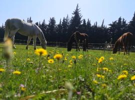 Gîte du Poney Fringant - Prancing Pony, budgethotell i Saint-Paul-Trois-Châteaux