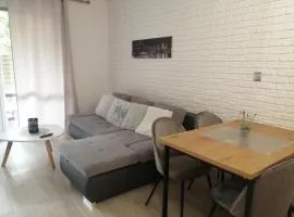 Apartament Lux Monika Rewal z tarasem i garażem