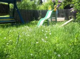 Воржоми Mzetamze