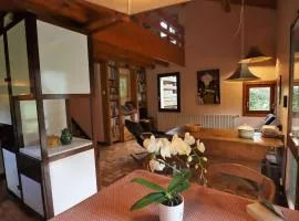 Chalet architecte 6 pers. au Planay, calme, spacieux, jardin avec rivière, proche ski bus gratuit - FR-1-342-288