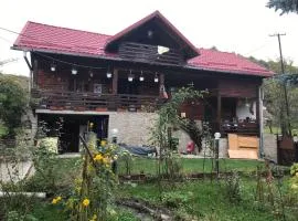 Cabana Trei Brazi Dambovita