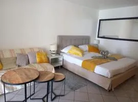 Grand studio de 41 m2 vue mer citerne