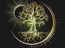 eKstasis Hostel & Urban Farm