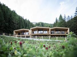 Stelza Nature Chalet, viešbutis mieste Val di Vizze