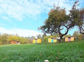 Poiana Stelelor, готель із гідромасажними ваннами у місті Văleni