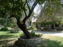 Traditionelles Appartement ATHOS SHADOW am Meer