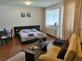 Sunny studio apartment - few steps from Gondola