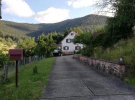 Gîte des abeilles du Kohlberg, budgethotel i Wangenbourg