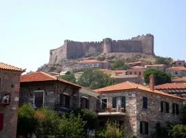 Giorgos House