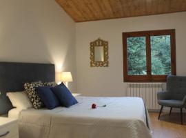 Apartamentos CAN GUSI, apartment in Ribes de Freser