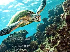 LODGE PAMPLEMOUSSE avec PISCINE privative , dans parc calme à 500 m plage