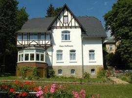 Ferienwohnung in Villa, cheap hotel in Bad Elster
