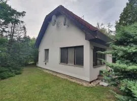Holiday home in Szantod - Balaton 43129