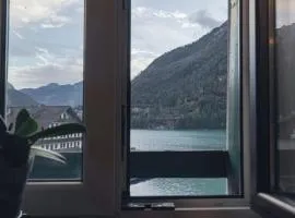 Una Civetta sul Lago