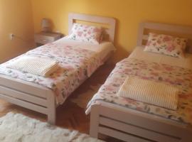 Apartman "Dom Stankovića", place to stay in Pirot