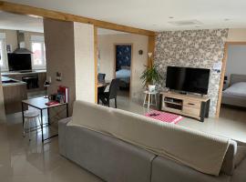 Appartements centre ville Colmar 4 familles