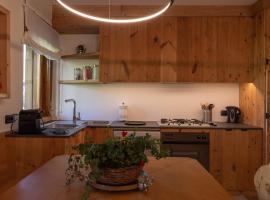 Casa Betulla, holiday rental in Cortina dʼAmpezzo