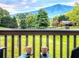 Ole Smoky BnB - Game Room, Hot Tub, Mtn Views!