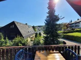 Ferienhaus-Schönwald im Herzen des Schwarzwaldes 2-Zimmer-Maisonette-Wohnung mit Balkon App 12