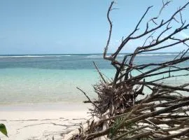 LOGEMENT AZUL à l'ombre du bambou 1 à 3 pers, Réserve Cousteau