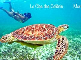 LODGE COLIBRIS vue panoramique mer et montagne pelée , 500 m plage dans un parc , Calme assuré Idéal pour découvrir le nord Caraïbes, מלון בלה קברה